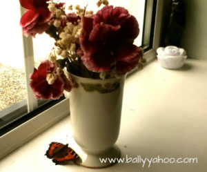 red butterfly beside a white vase illustrating a post about the butterfly